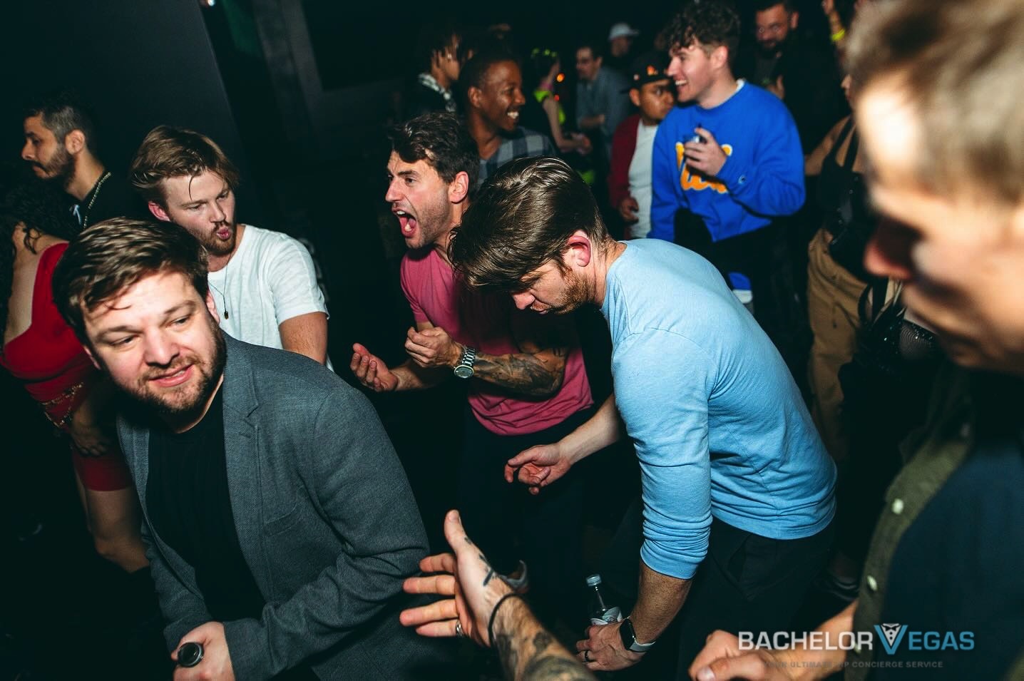 discopussy-bachelor-party