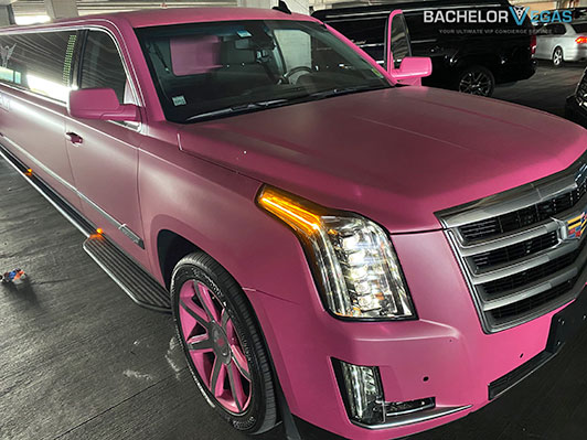 pink-escalde-limo
