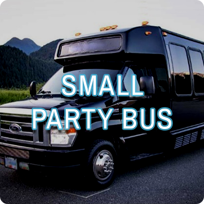 small-party-bus