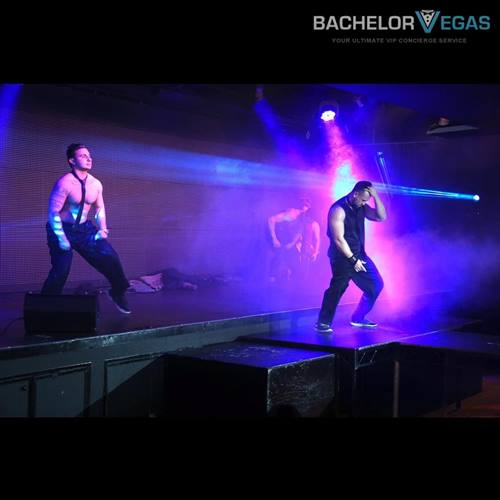 vegas-lead-performers