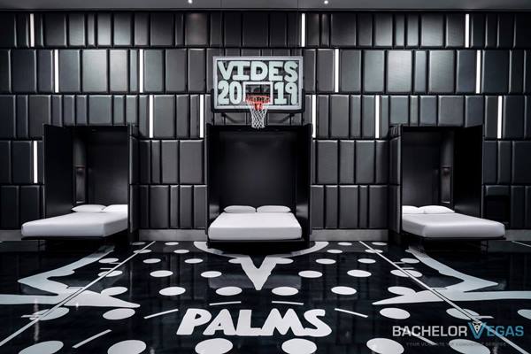 palms-basketball-suite