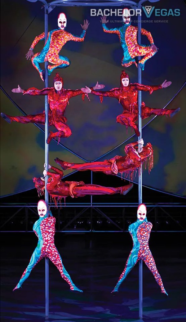 world-class-acrobat