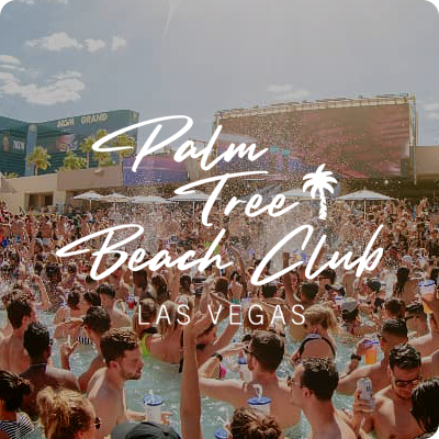 palm-tree-beach-club