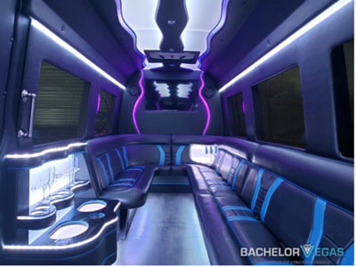 stretch limo interior