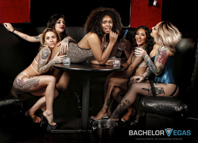 palomino club