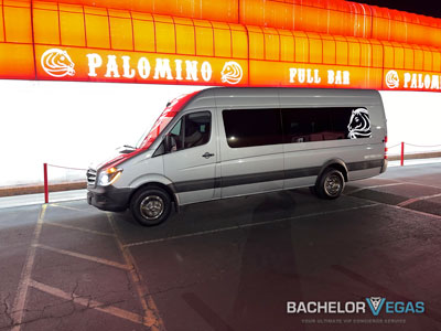 palomino sprinter