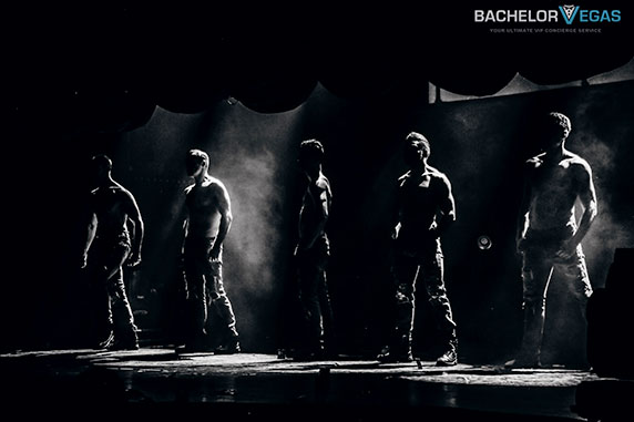 aussie-heat-male-revue